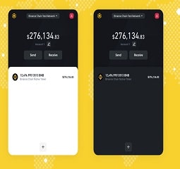Binance Wallet password Seed Phrase recovery